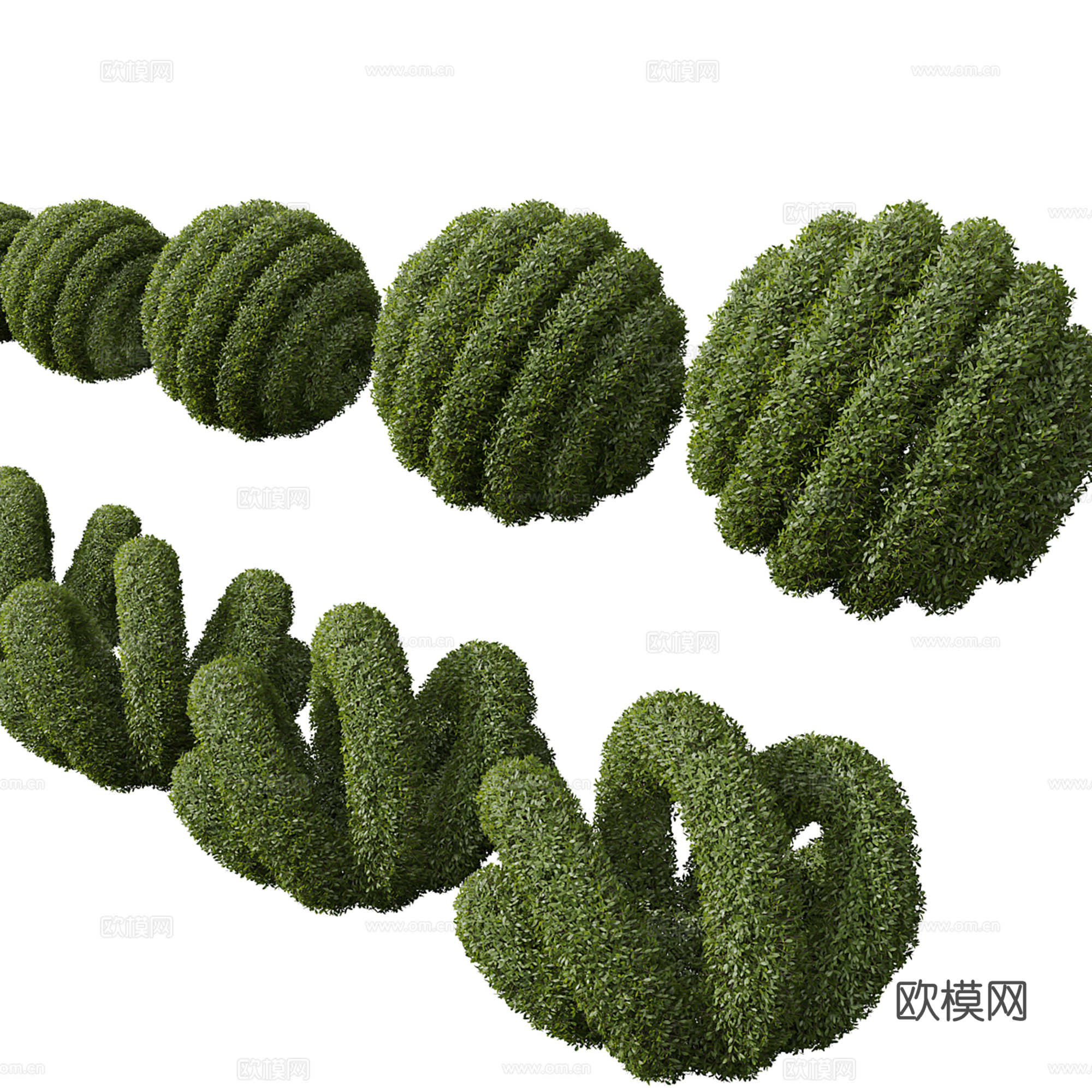 植物 造型灌木3d模型