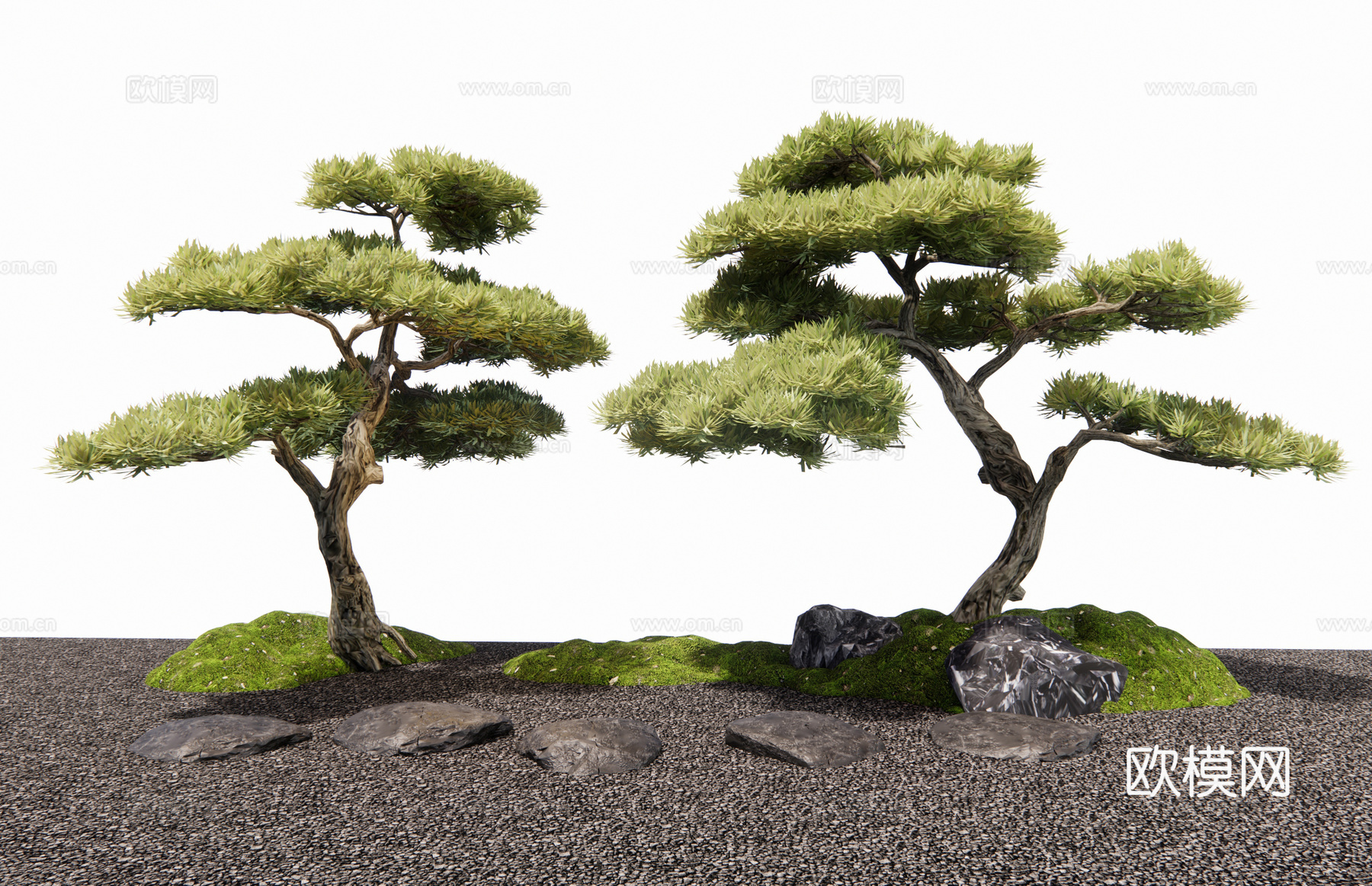 新中式罗汉松 黑松 景观树 乔木 石头汀步 苔藓3d模型下载