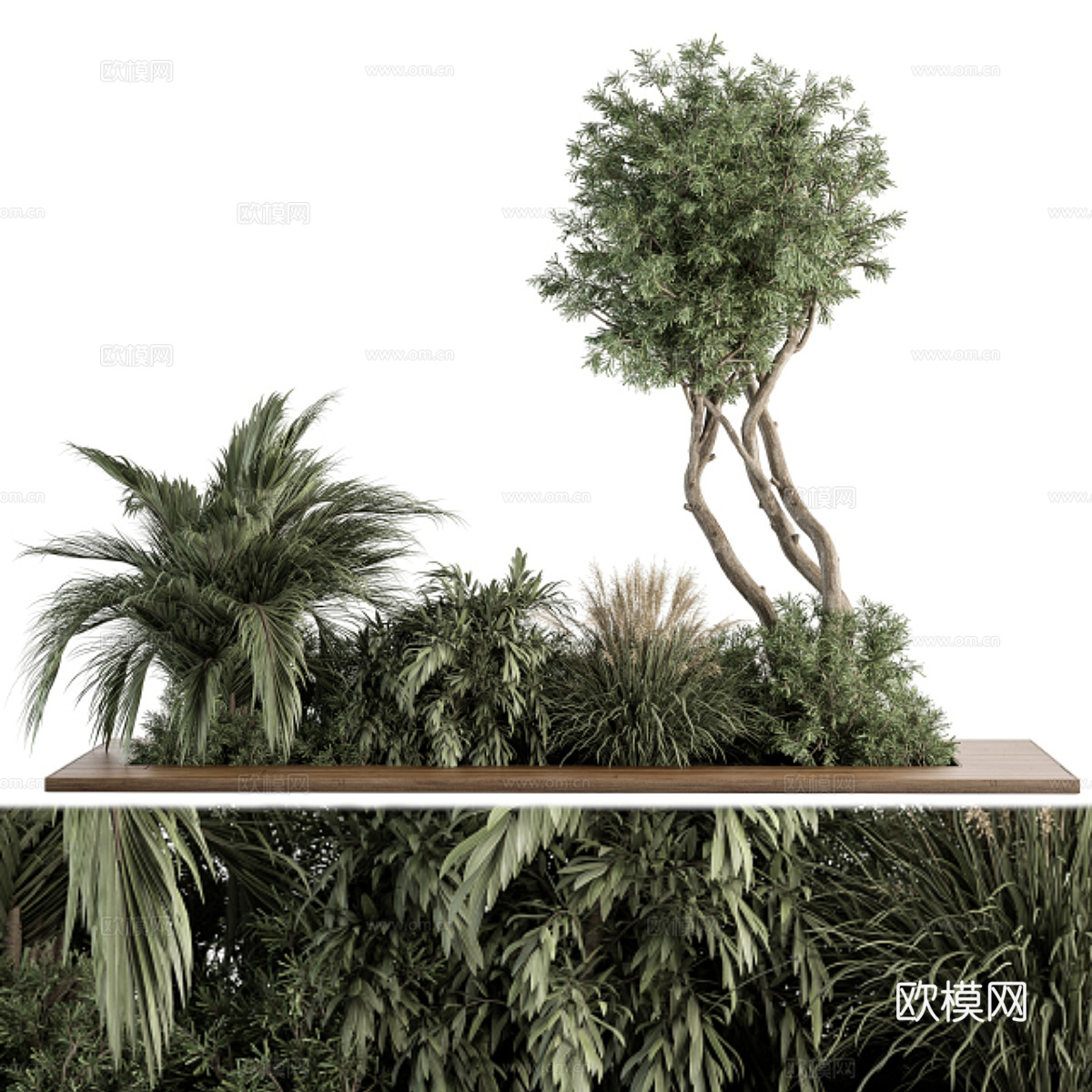 针树 棕榈树 花箱植物堆3d模型