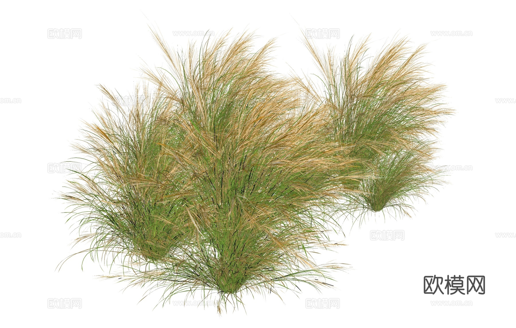 草堆草垛  盆栽组合  树池植物组合su模型下载（渲染图1）