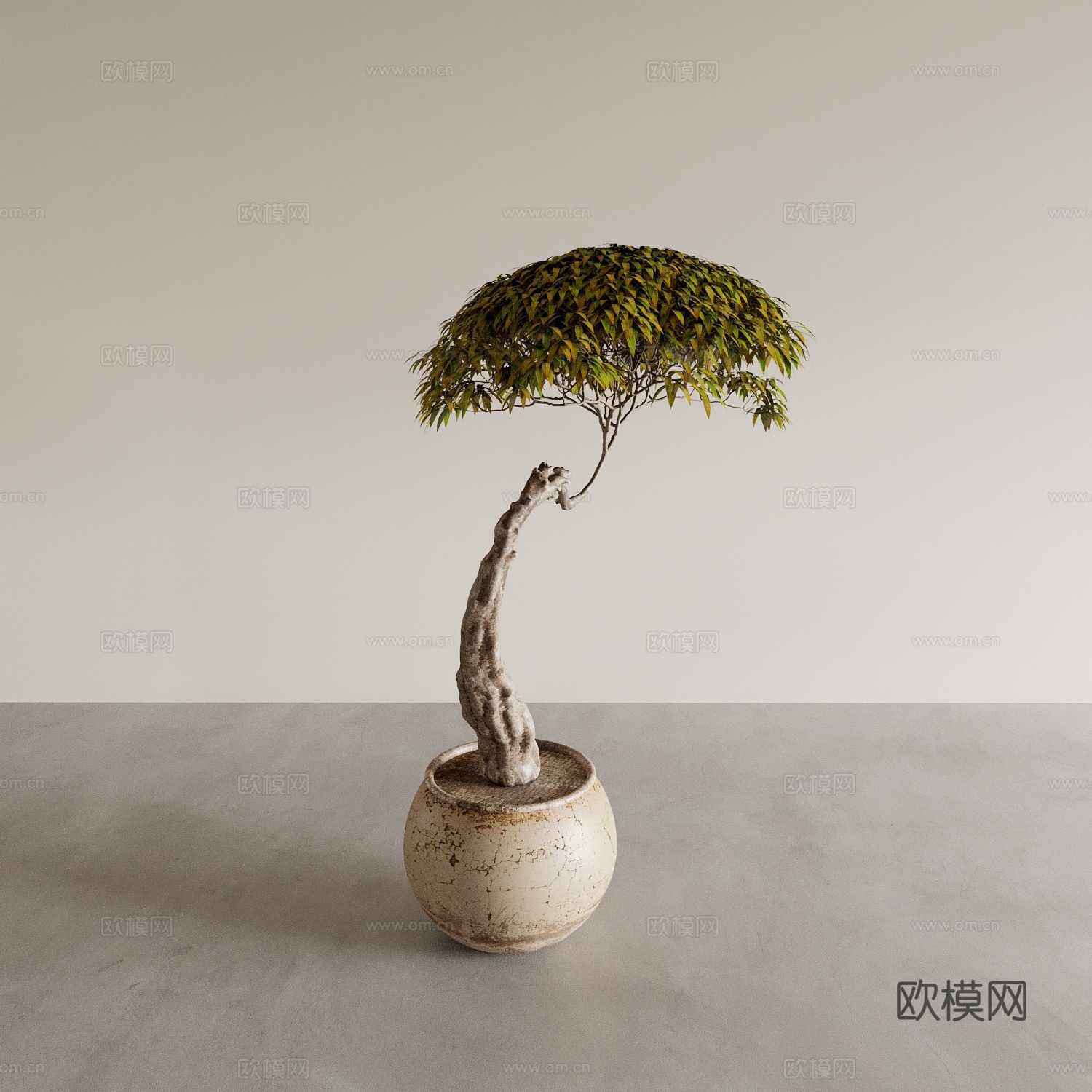 盆景盆栽 室内绿植 植物摆件 植物花盆 花瓶花盆3d模型