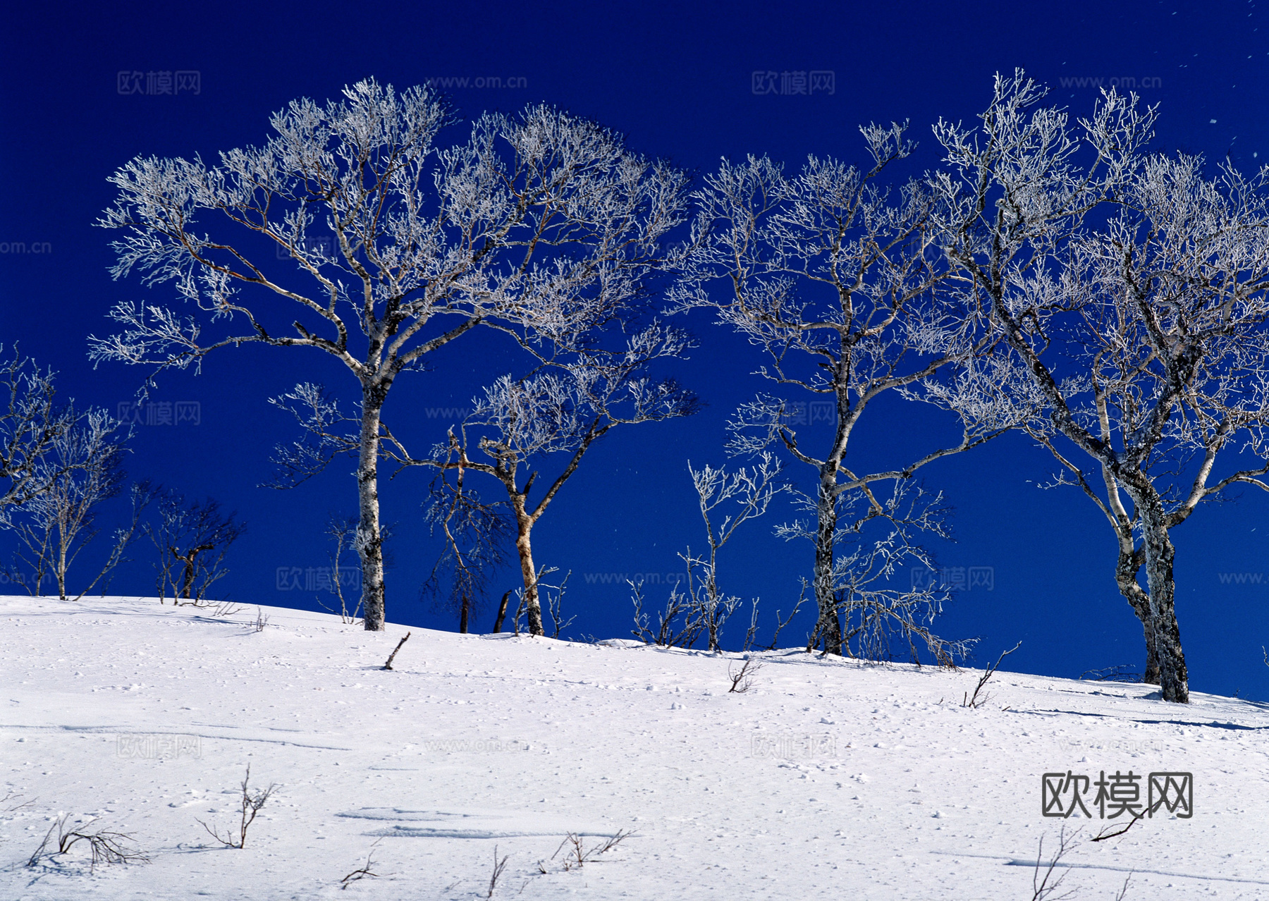 漂亮雪景贴图下载