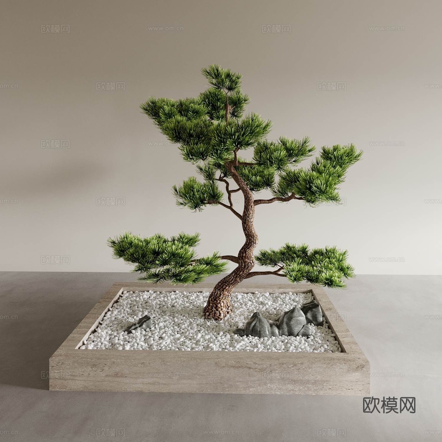 盆景盆栽 迎客松 玄关摆件 植物摆件3d模型