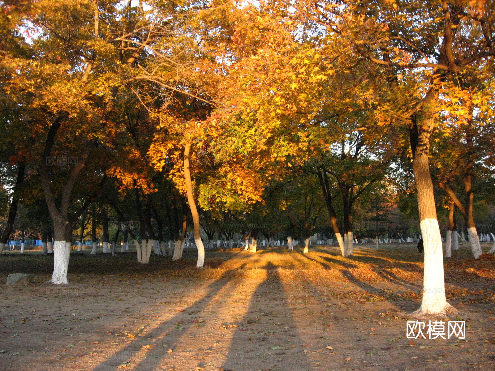 漂亮天空贴图下载