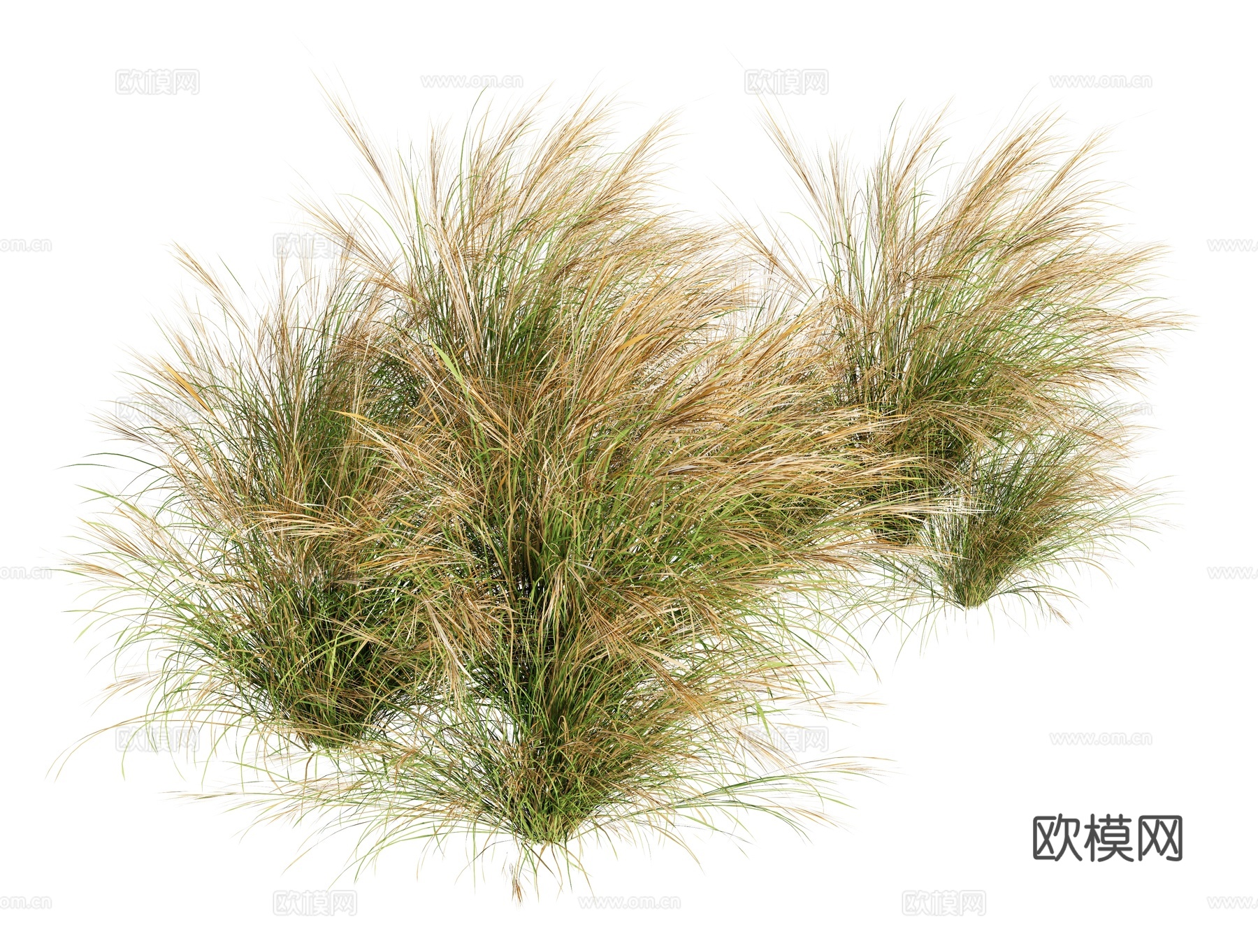 草堆草垛  盆栽组合  树池植物组合su模型下载（渲染图2）