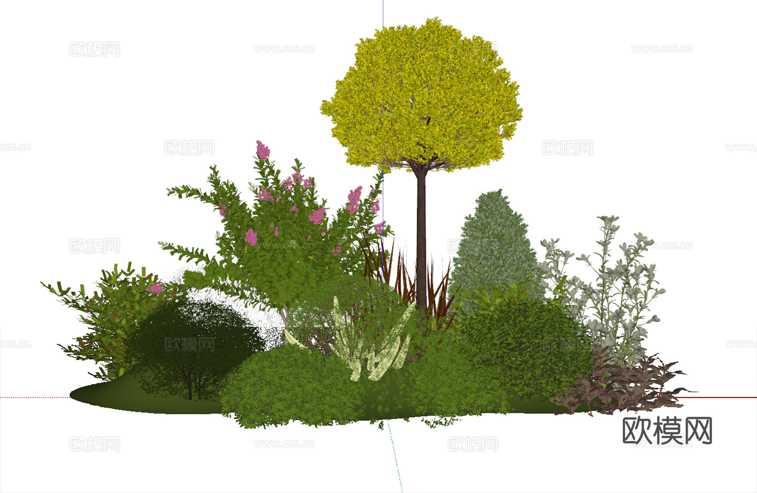 女贞 花镜植物组合 花草灌木 庭院景观植物 花草植物su模型