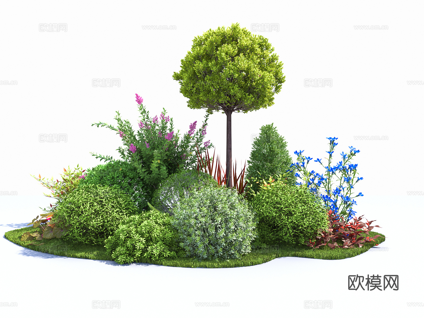 女贞 花镜植物组合 花草灌木 庭院景观植物 花草植物su模型