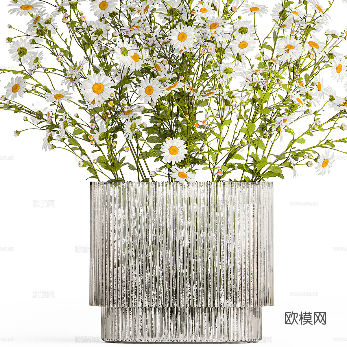 现代花瓶花艺 洋甘菊 邹菊3d模型