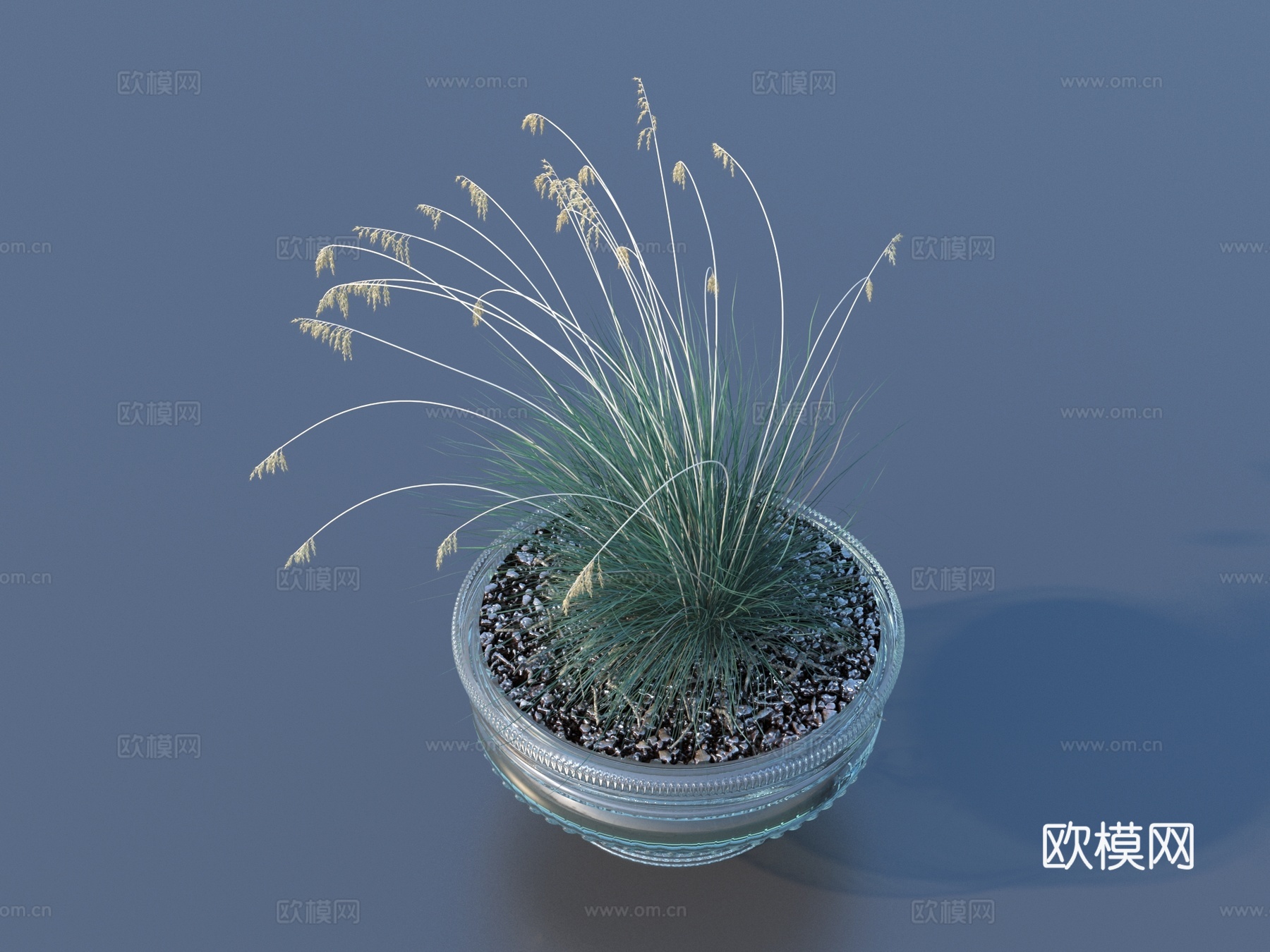 花盆 盆栽 绿植 植物3d模型