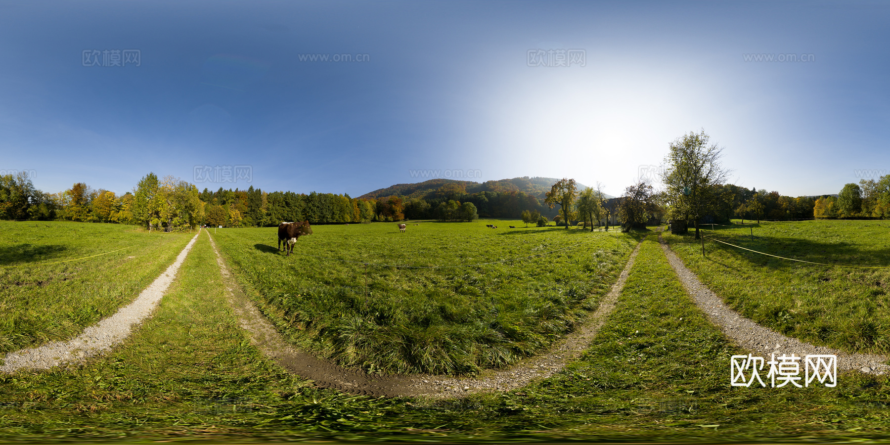 HDR公园全景贴图下载