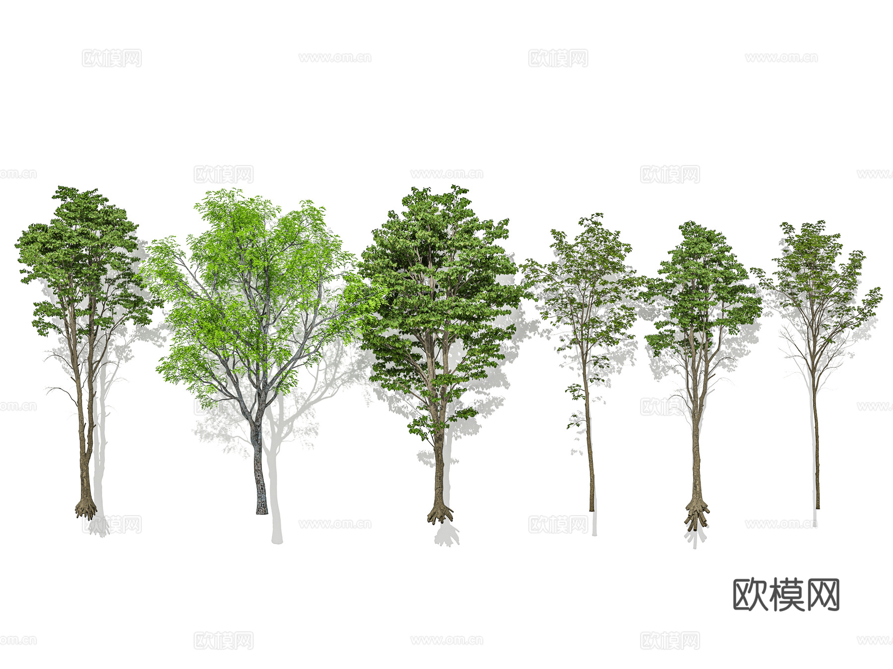 现代乔木 行道树 景观树 庭院树 孤植树 丛生乔木su模型