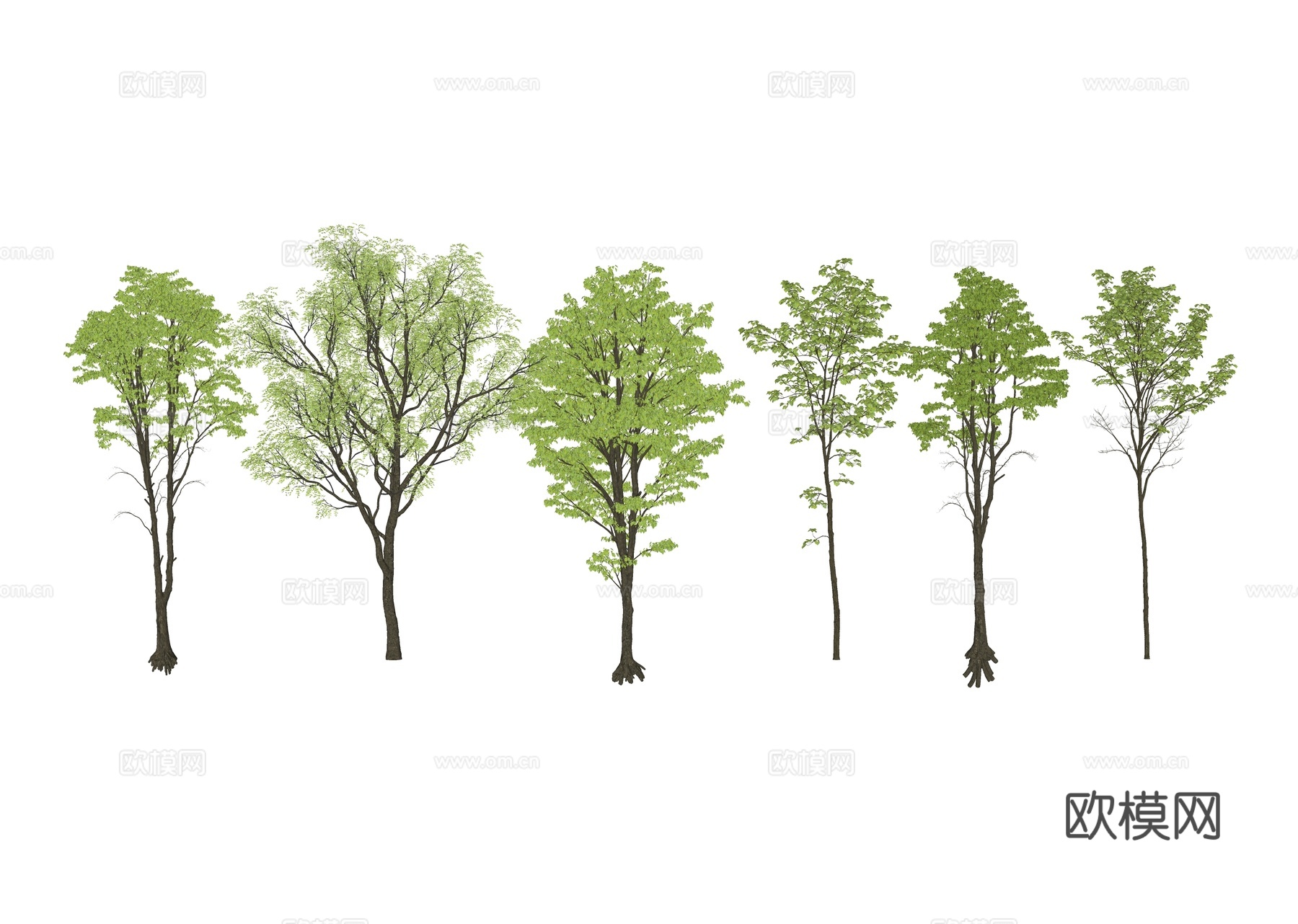 现代乔木 行道树 景观树 庭院树 孤植树 丛生乔木su模型