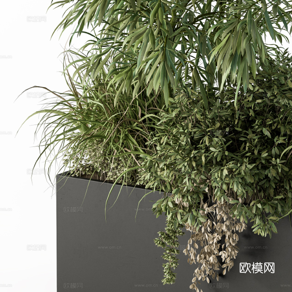 新中式竹子植物箱3d模型