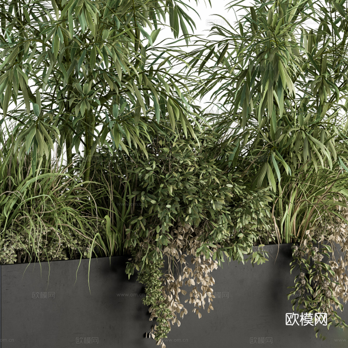 新中式竹子植物箱3d模型