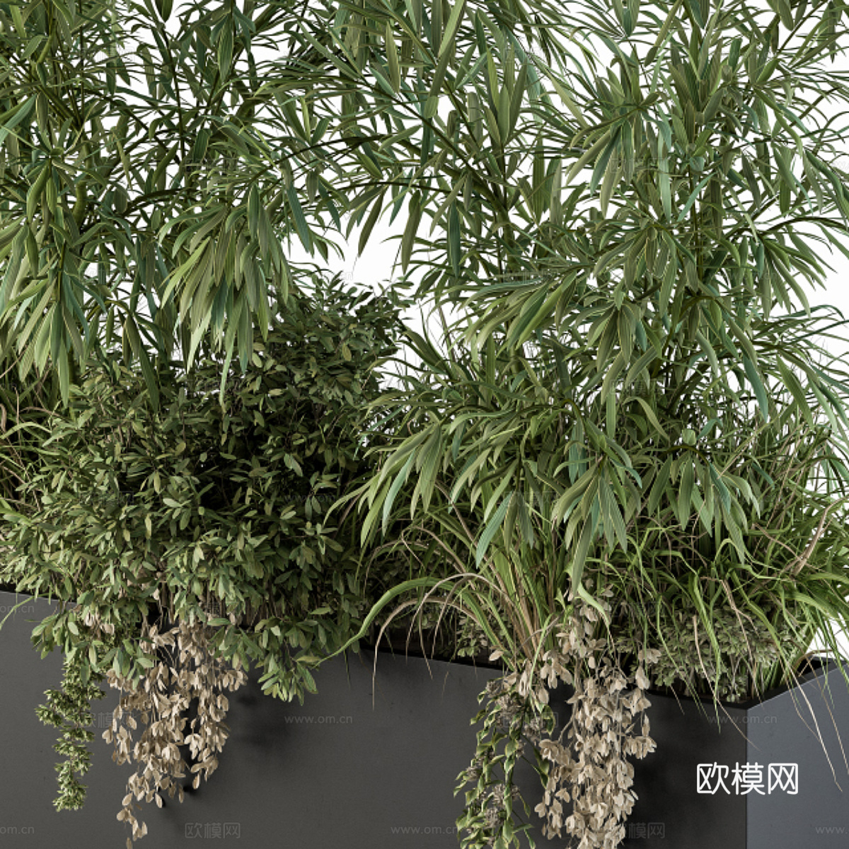 新中式竹子植物箱3d模型