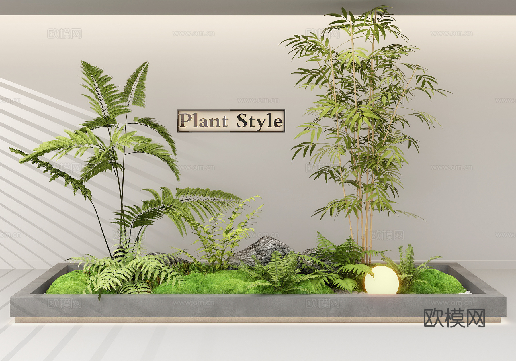 蕨类植物 植物景观造景 植物小品 花池 竹子3d模型