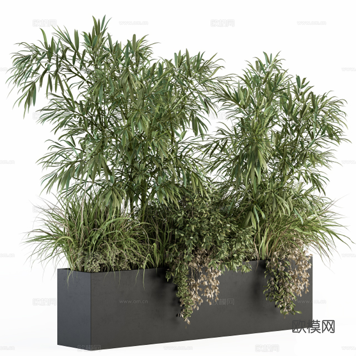 新中式竹子植物箱3d模型