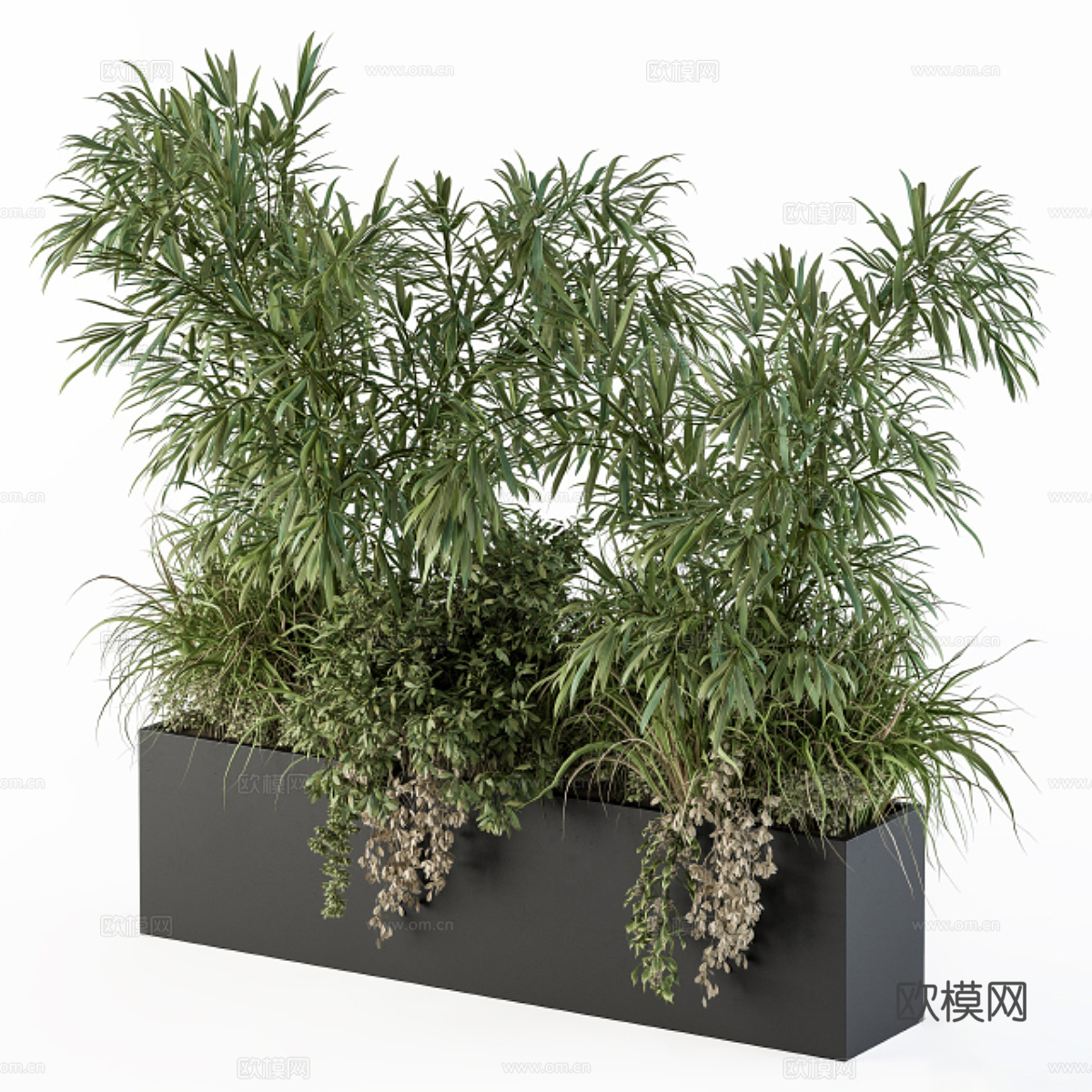 新中式竹子植物箱3d模型