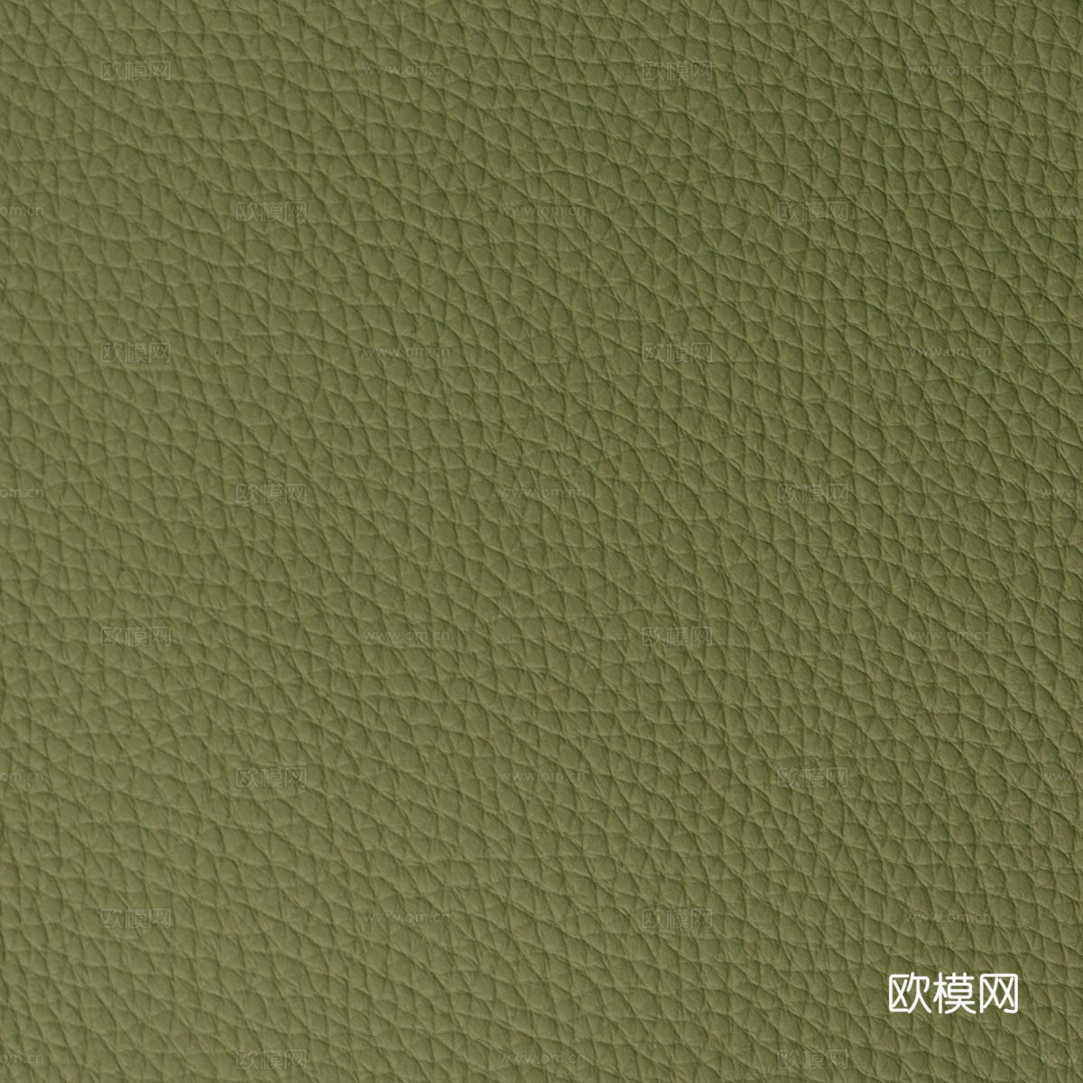 绿色粗纹皮革