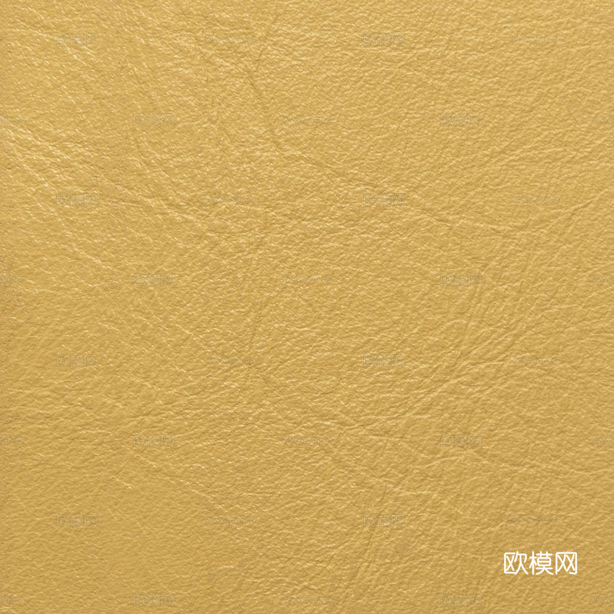黄色细纹皮革
