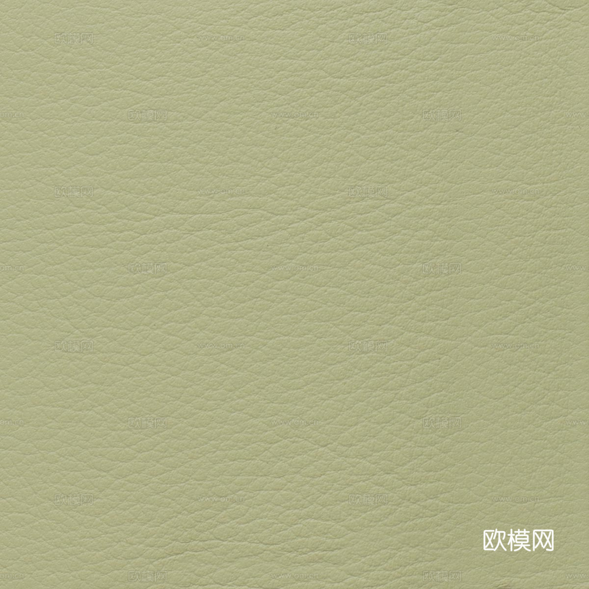 浅绿色粗纹皮革