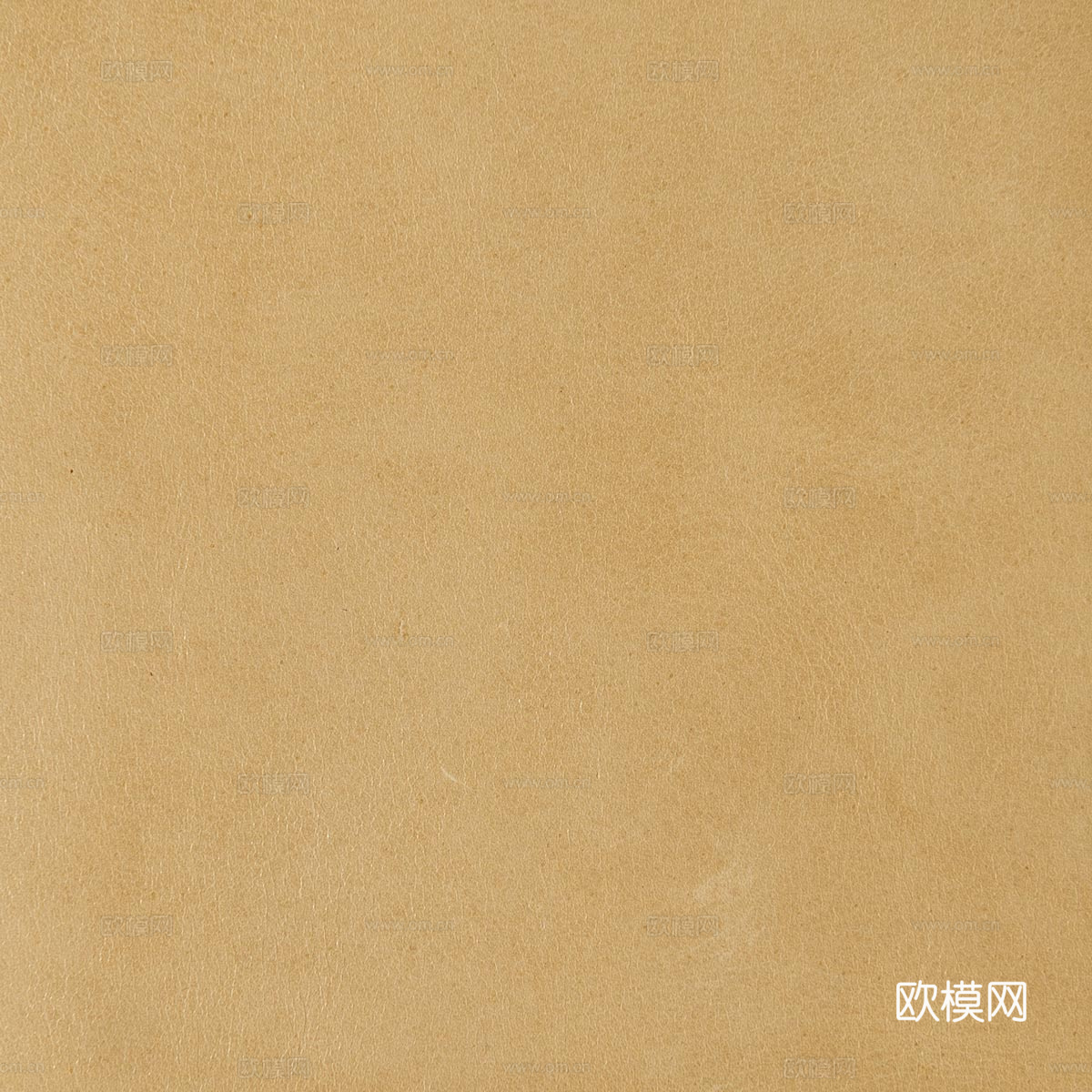 黄色细纹皮革