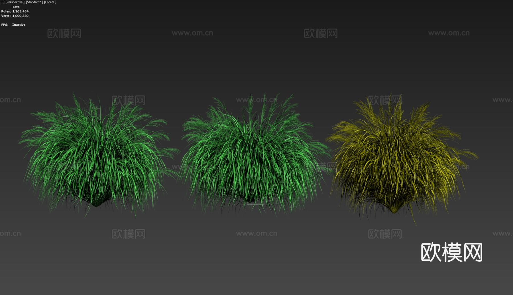 草花 灌木3d模型