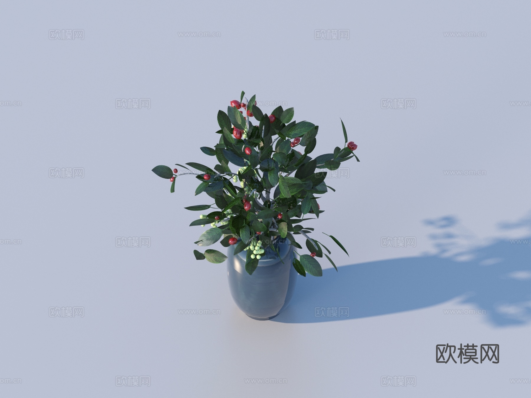 花盆 盆栽 绿植 植物3d模型