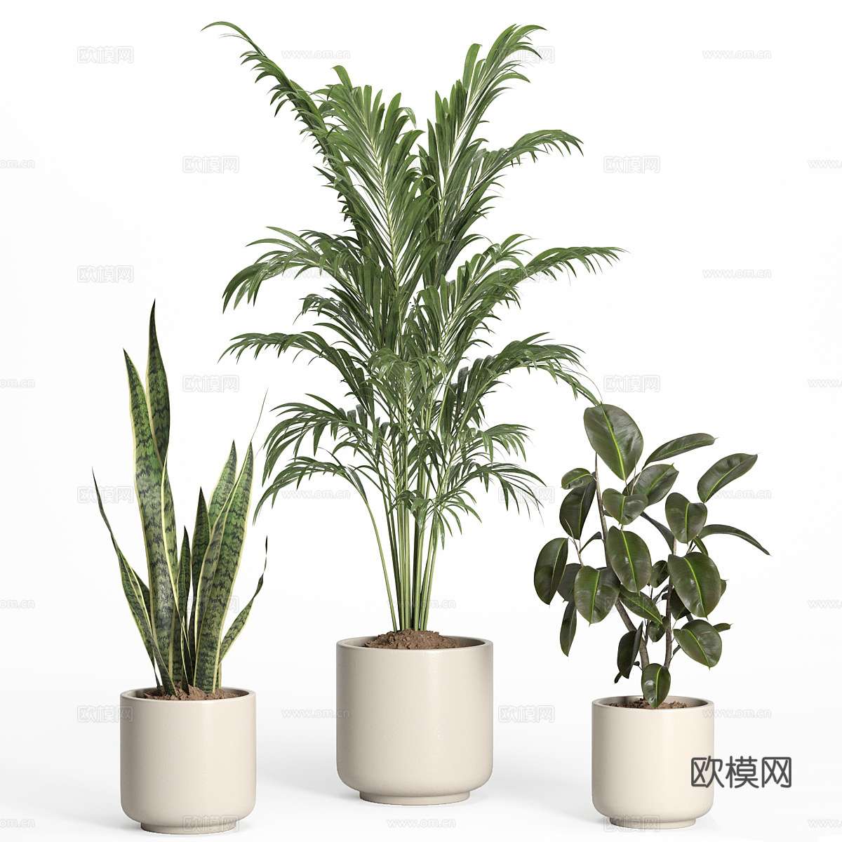 现代绿植盆栽3d模型