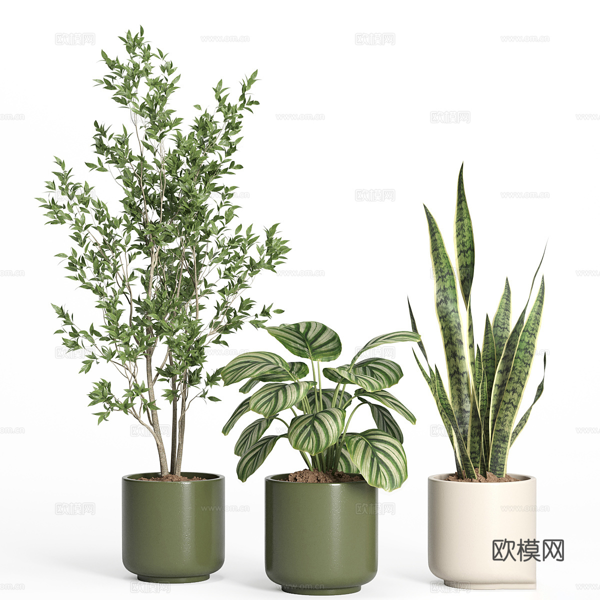 现代绿植盆栽3d模型