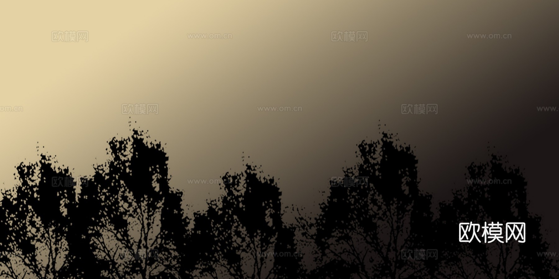 外景 素材 树林