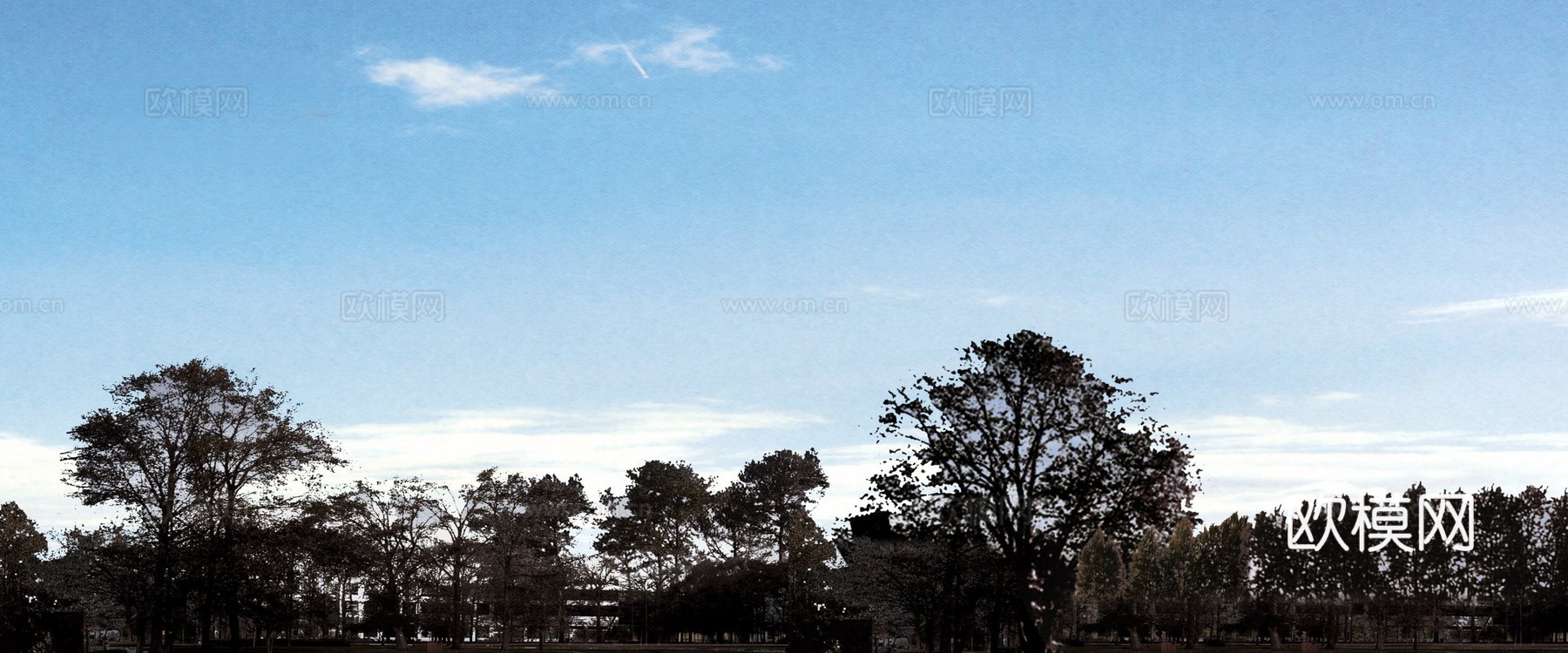 外景 素材 树林