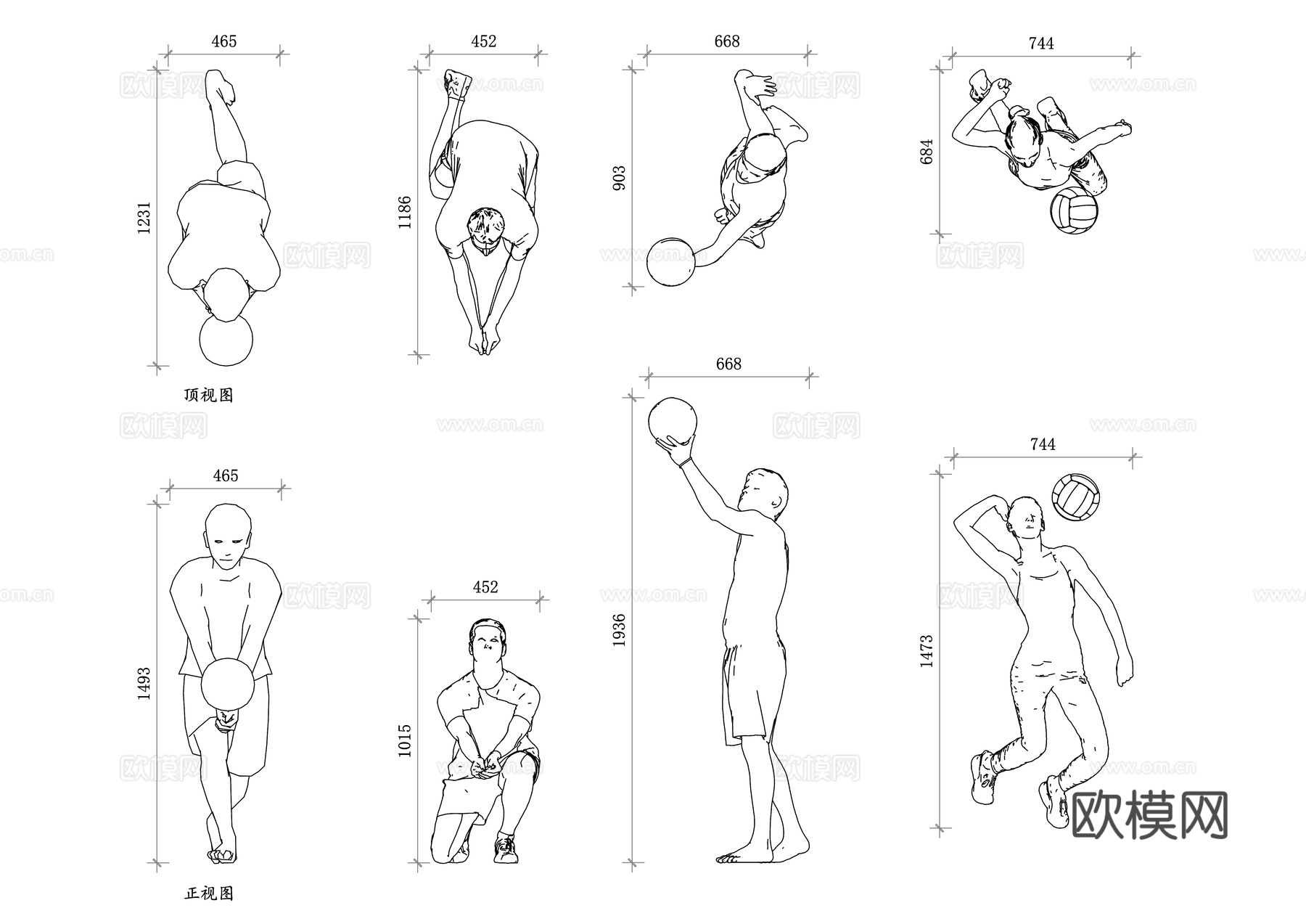 排球选手 排球健将 排球运动员 排球国手 排球精英cad施工图下载