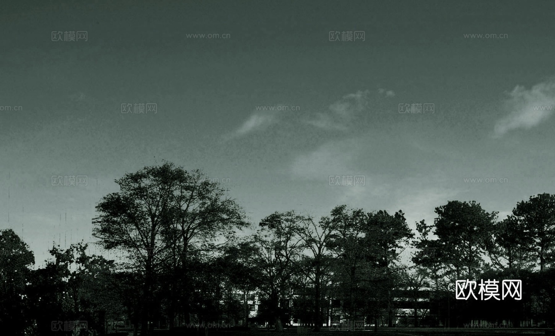 外景 素材 树林