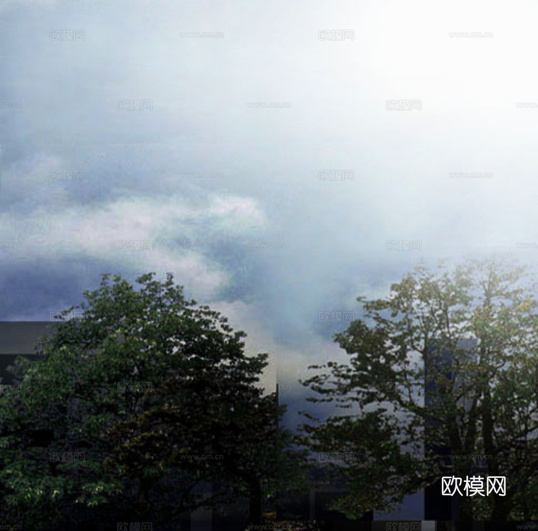 外景 素材 树林