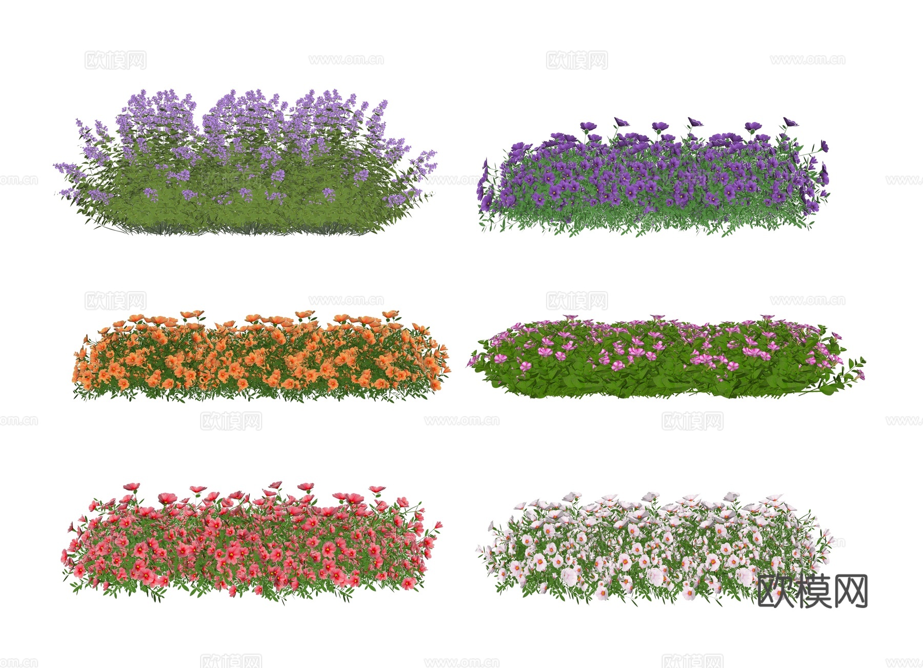 花卉 花草 室外植物 景观花 薰衣草 灌木绿篱 植物 绿化景su模型下载（渲染图2）