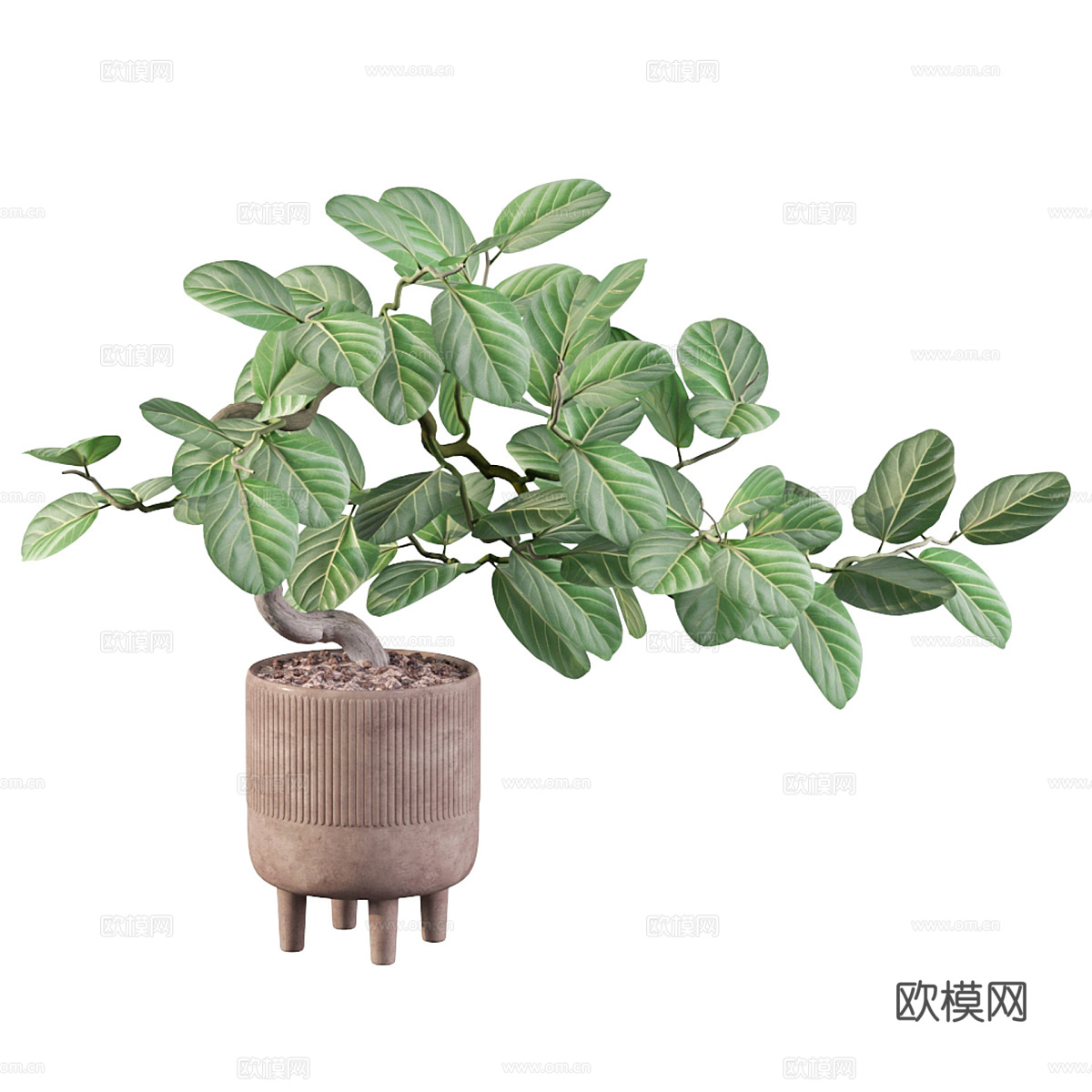 新中式绿植盆景3d模型