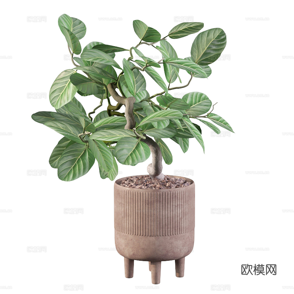 新中式绿植盆景3d模型