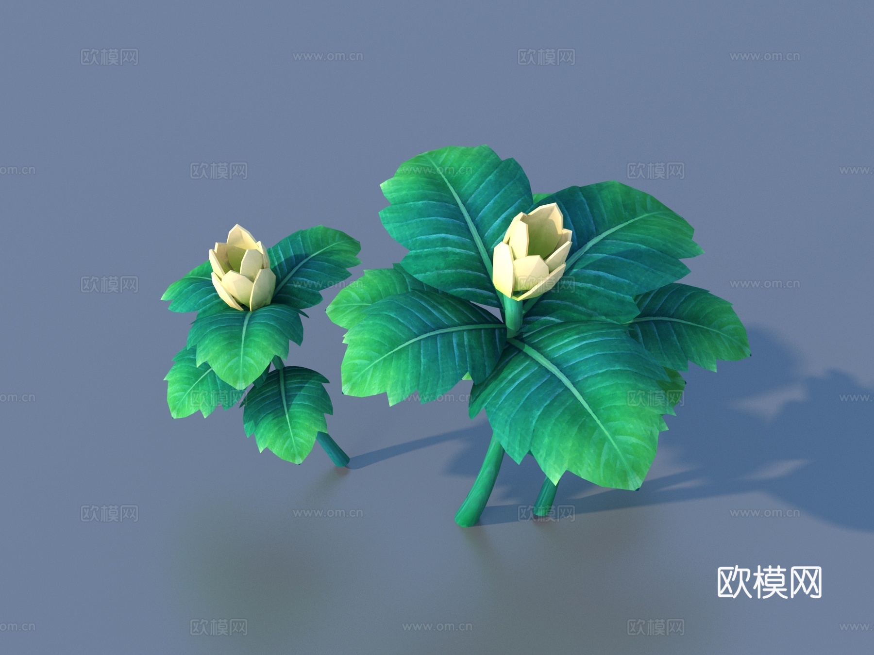 卡通 植物 灌木 花草3d模型