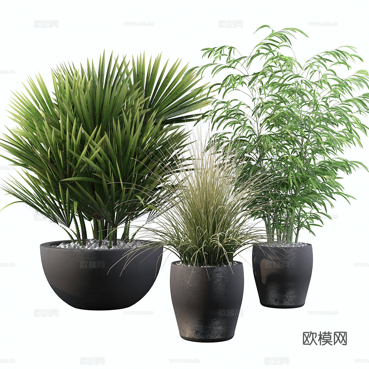 新中式绿植盆栽3d模型