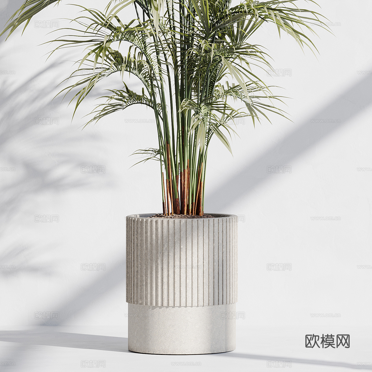 现代绿植盆栽 散尾葵3d模型