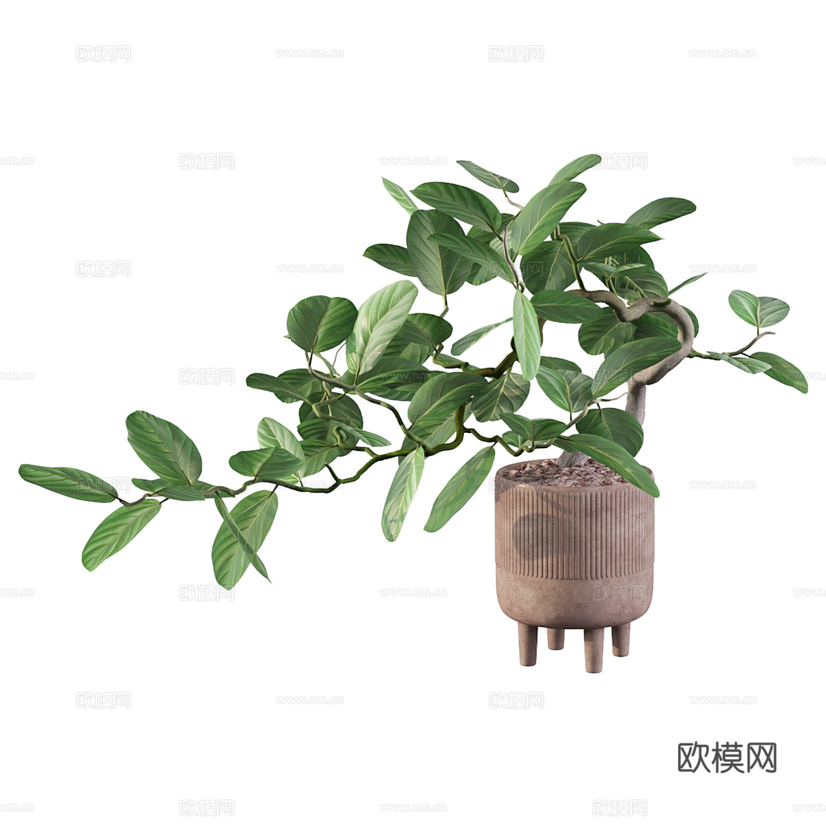 新中式绿植盆景3d模型