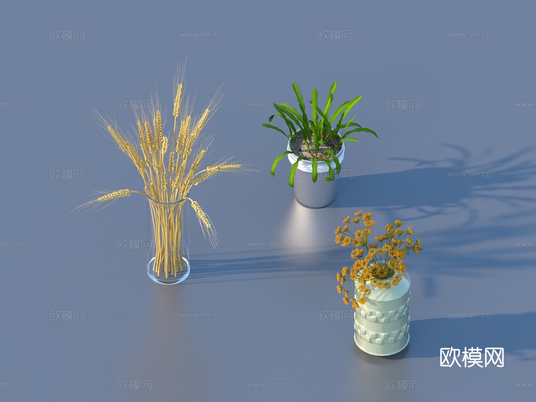 花盆 盆栽 绿植 植物3d模型
