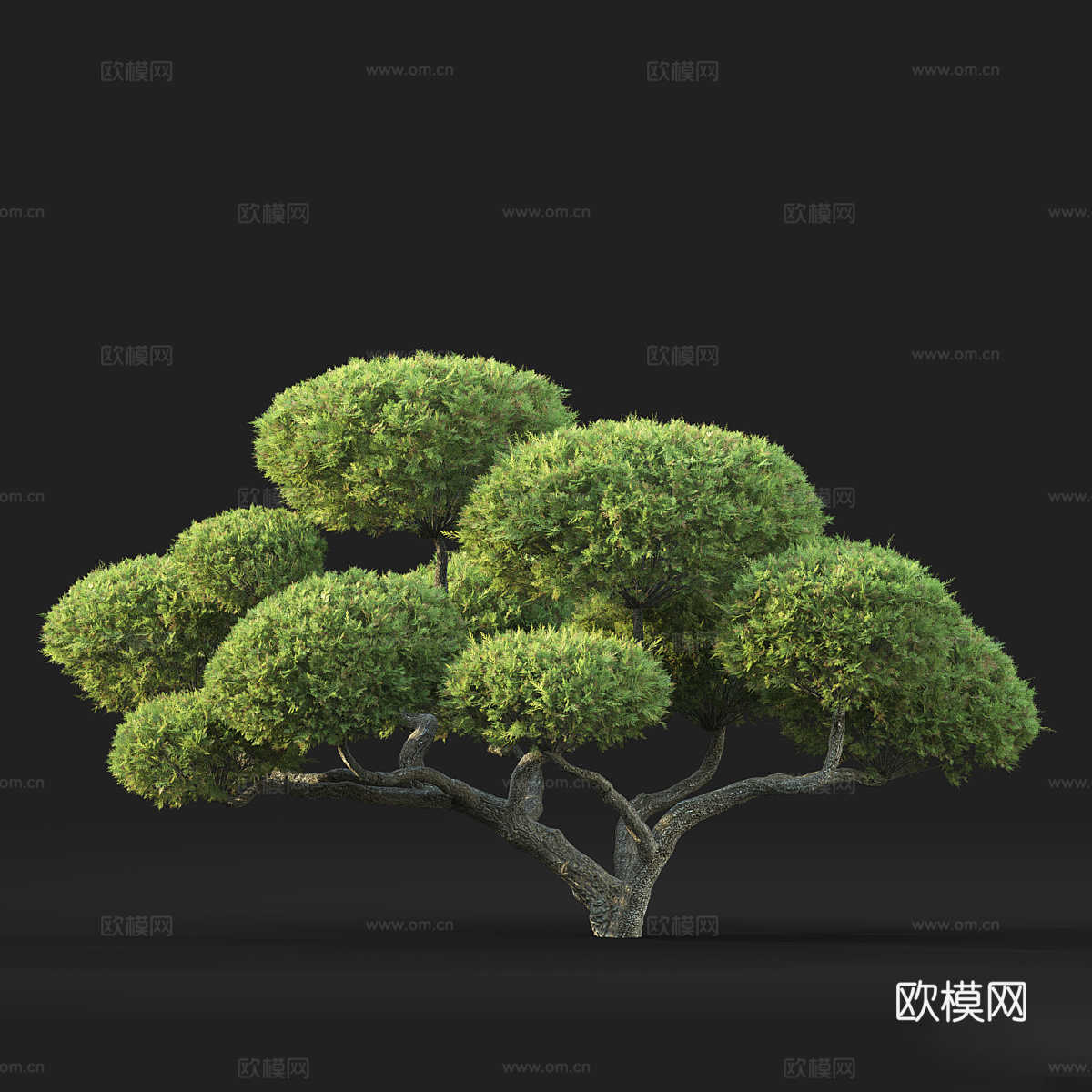 新中式盆景3d模型