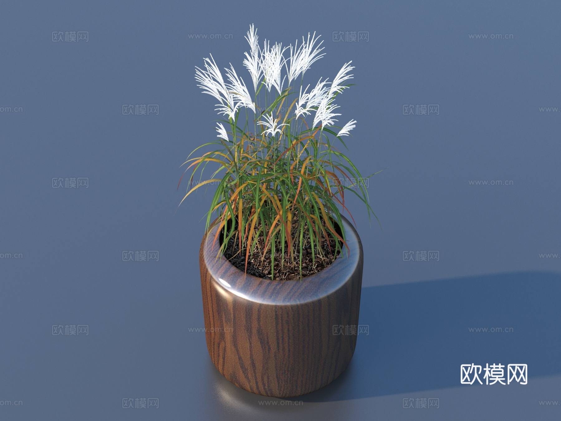 花盆 盆栽 绿植 植物3d模型