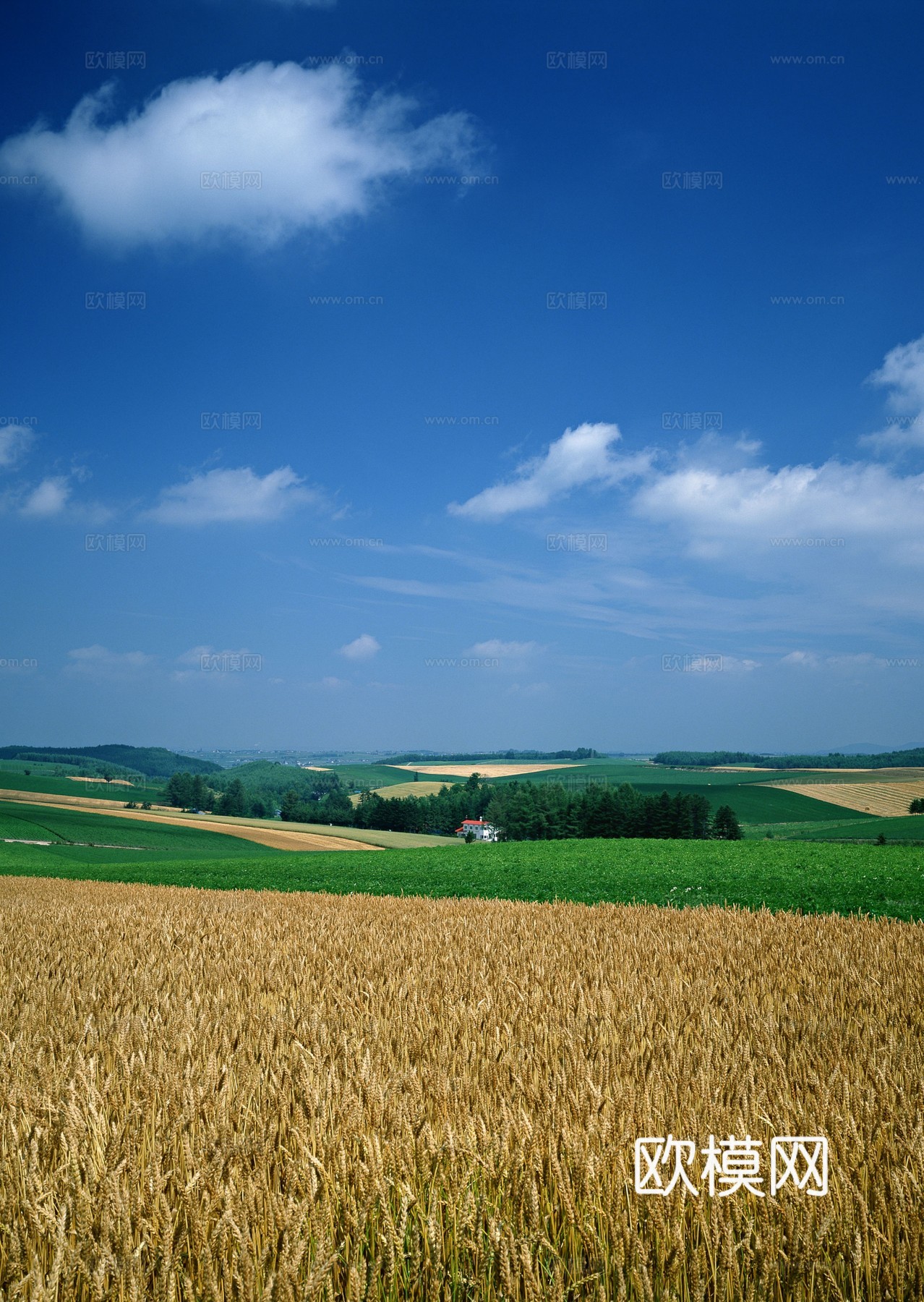 漂亮外景素材 天空贴图下载