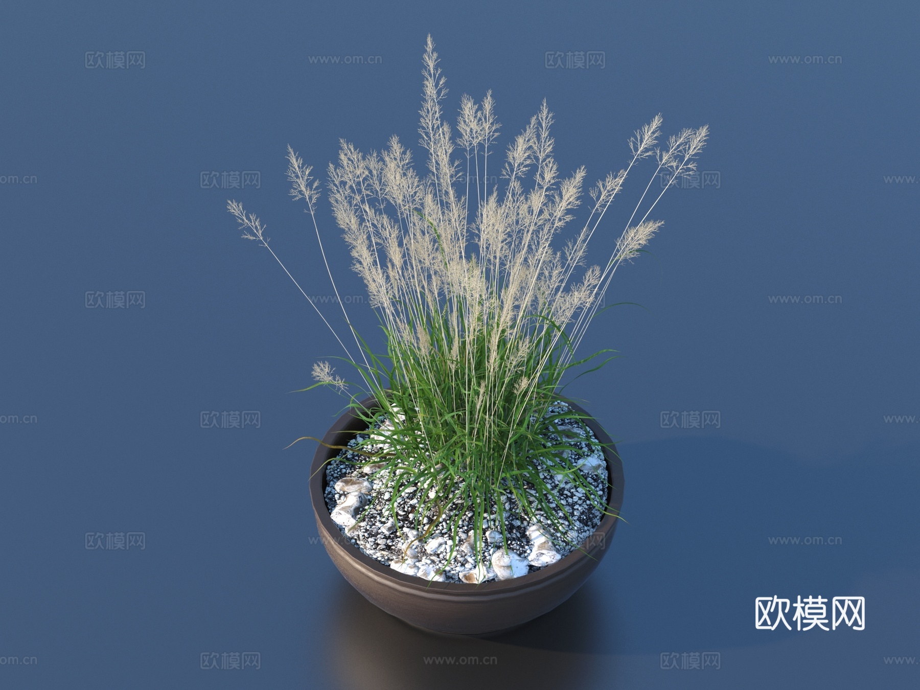 花盆 盆栽 绿植 植物3d模型