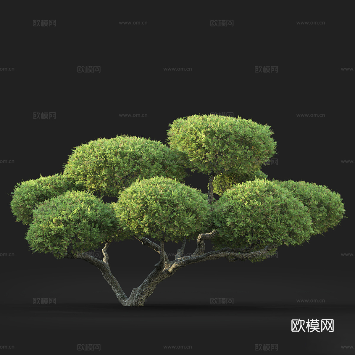 新中式盆景3d模型