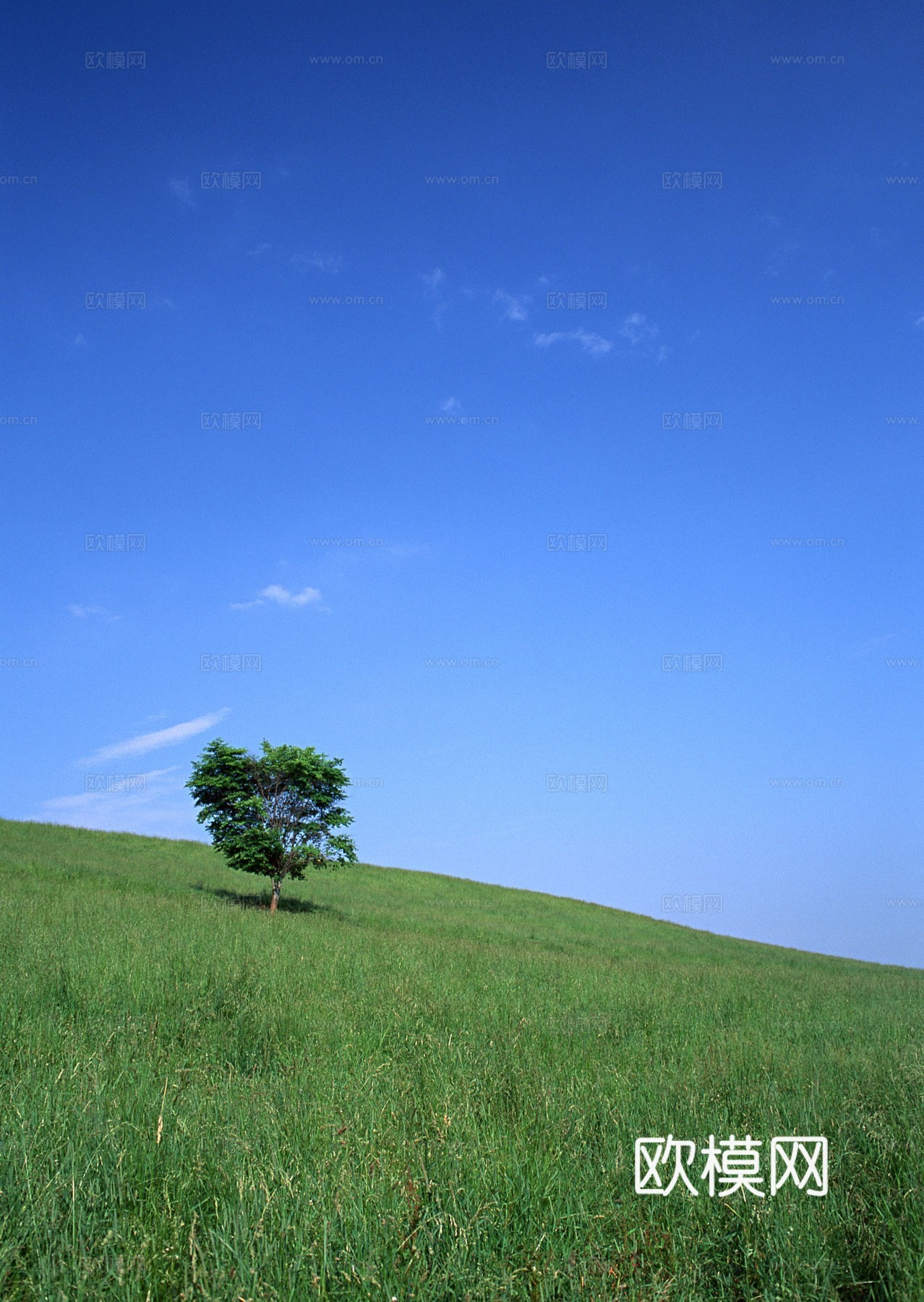漂亮外景素材 天空贴图下载