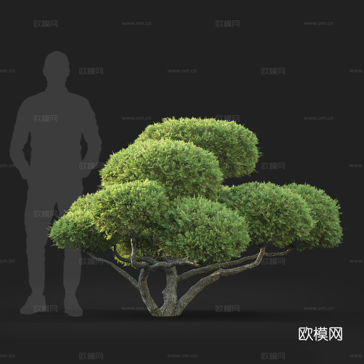 新中式盆景3d模型